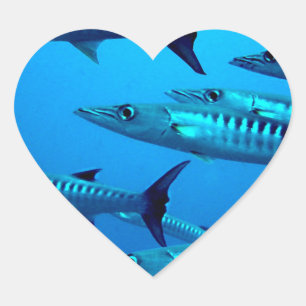 barracuda dive deep sea ocean water tropical wave heart sticker