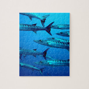 barracuda dive deep sea ocean water tropical wave jigsaw puzzle