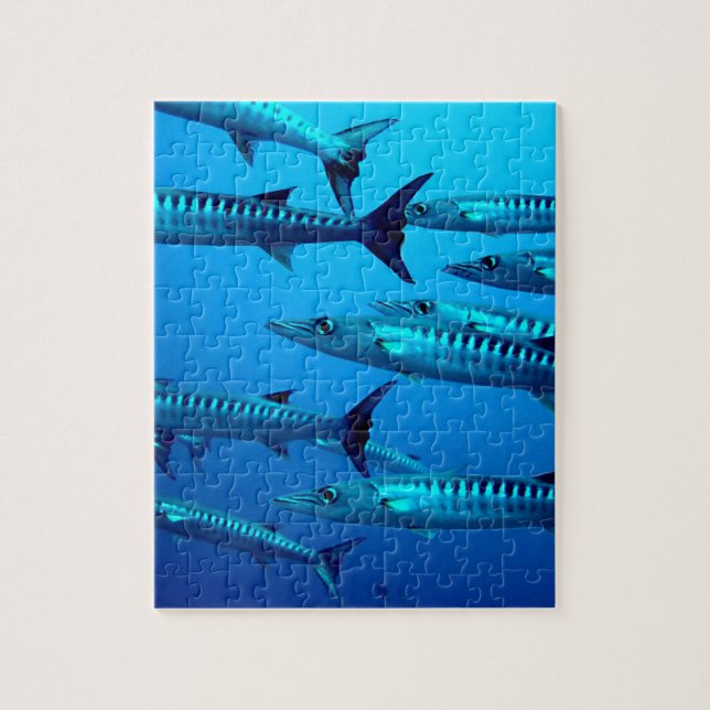 barracuda dive deep sea ocean water tropical wave jigsaw puzzle (Vertical)