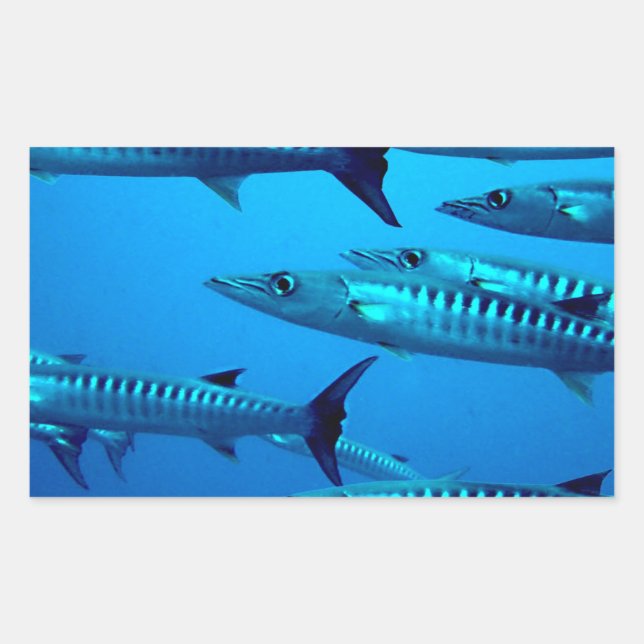 barracuda dive deep sea ocean water tropical wave rectangular sticker (Front)