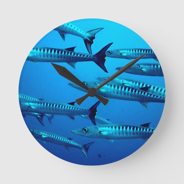 barracuda dive deep sea ocean water tropical wave round clock (Front)