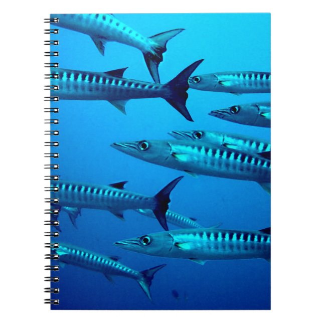 barracuda dive deep sea ocean water tropical wave spiral notebook (Front)