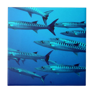 barracuda dive deep sea ocean water tropical wave tile