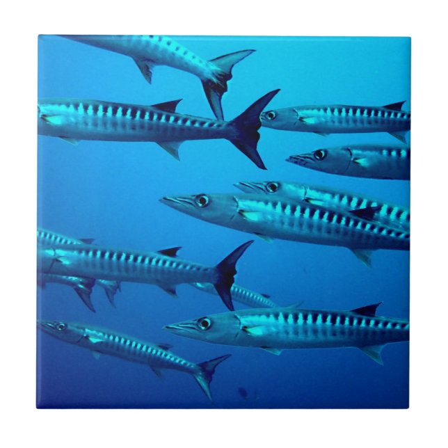 barracuda dive deep sea ocean water tropical wave tile (Front)