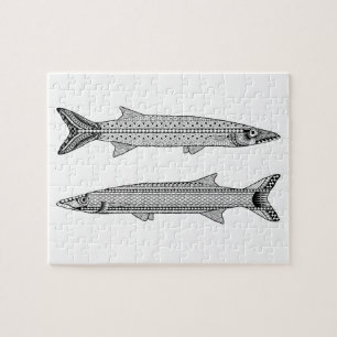 Barracuda Fish Adult Colouring Puzzle