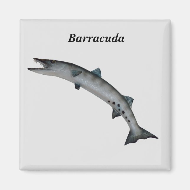 Barracuda Game Fish Magnet (Front)