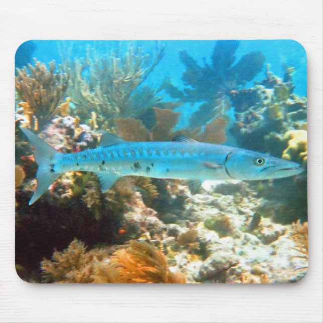 BARRACUDA MOUSEPAD (Front)