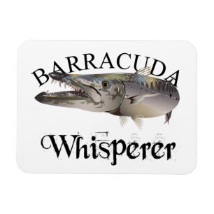 Barracuda Whisperer Light Coloured Magnet