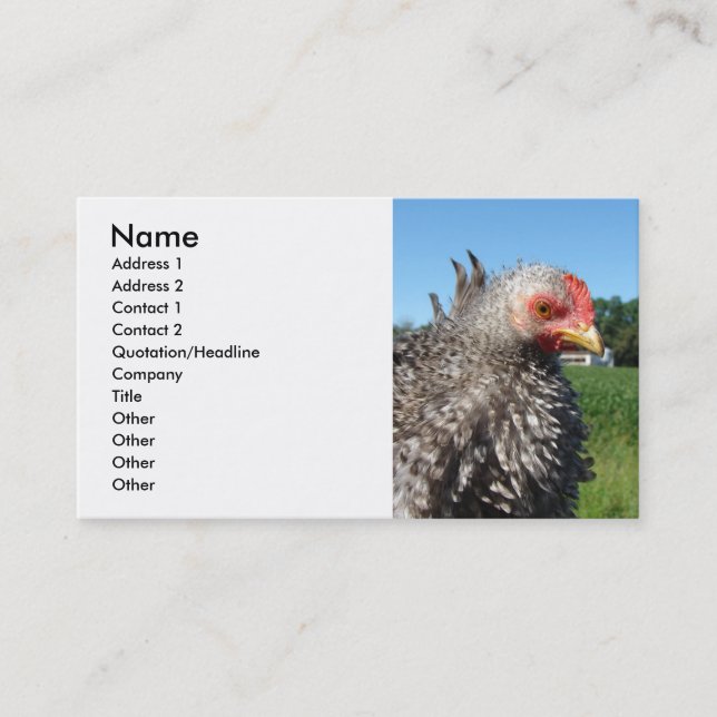 Barred Frizzle Chicken Business Card (Front)