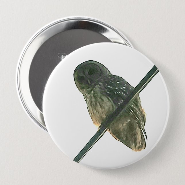 Barred Owl 10 Cm Round Badge (Front & Back)