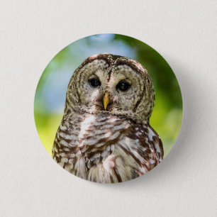 Barred Owl 6 Cm Round Badge