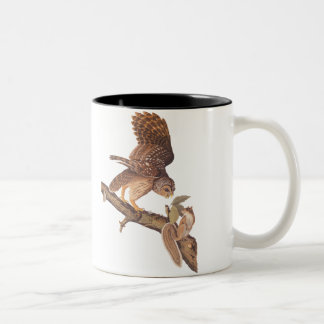 Barred Owl and Happy Squirrel Audubon Art Two-Tone Coffee Mug