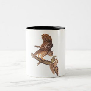Barred Owl and Squirrel Audubon Odd Couple Two-Tone Coffee Mug