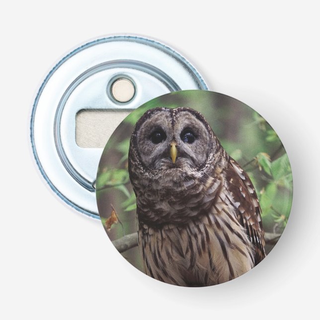 Barred Owl Bottle Opener (Front)