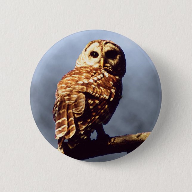 Barred Owl Button (Front)