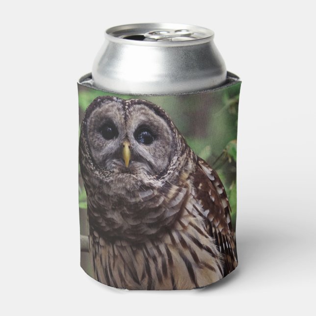 Barred Owl Can Cooler (Can Front)
