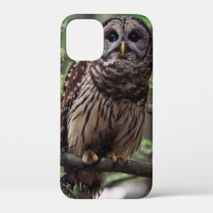 Barred Owl iPhone 12 Mini Case