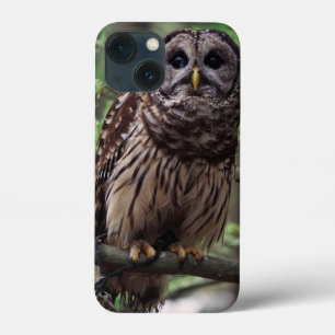 Barred Owl iPhone 13 Mini Case