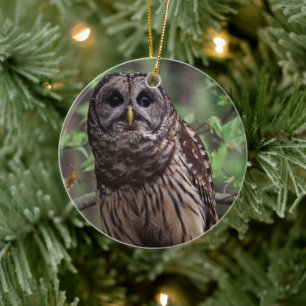 Barred Owl Ceramic Tree Decoration