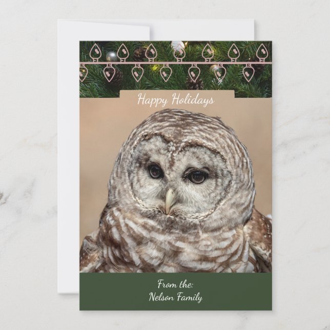 Barred Owl  Christmas Card (Front)