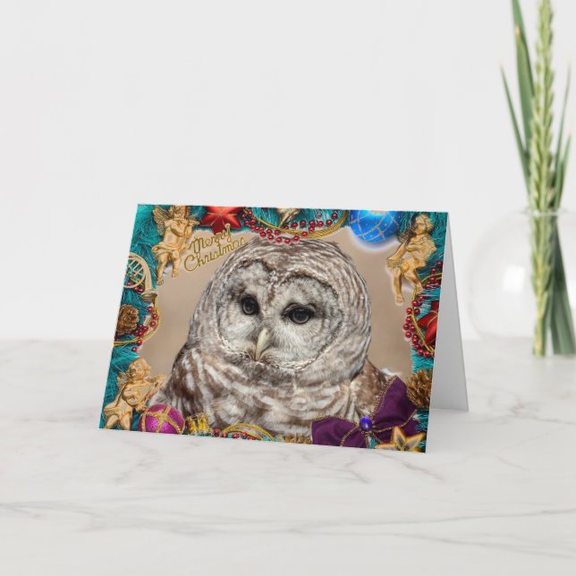 Barred Owl Christmas Card (Front)