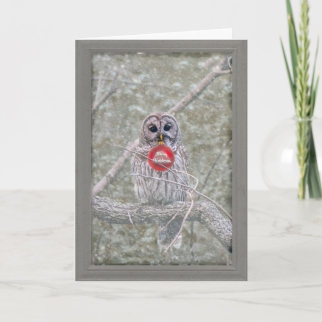 Barred Owl Christmas Greeting Card (Front)