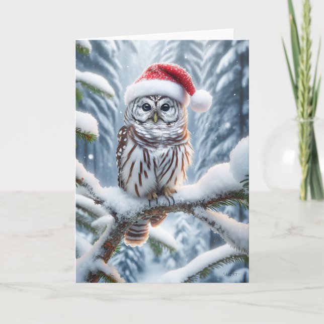BARRED OWL CHRISTMAS - WILDLIFE  HOLIDAY CARD (Front)