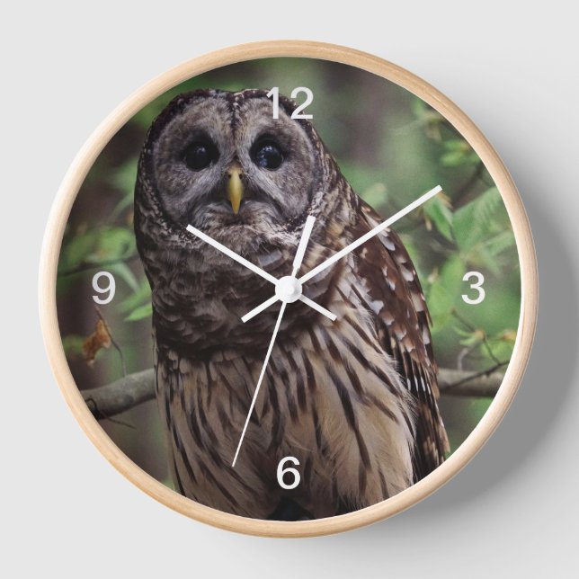 Barred Owl Clock (Front)