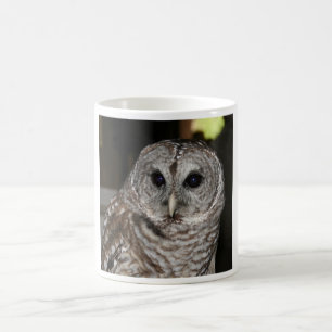 Barred Owl Coffee Mug