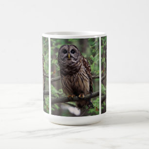 Barred Owl Coffee Mug