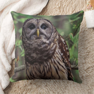 Barred Owl Cushion