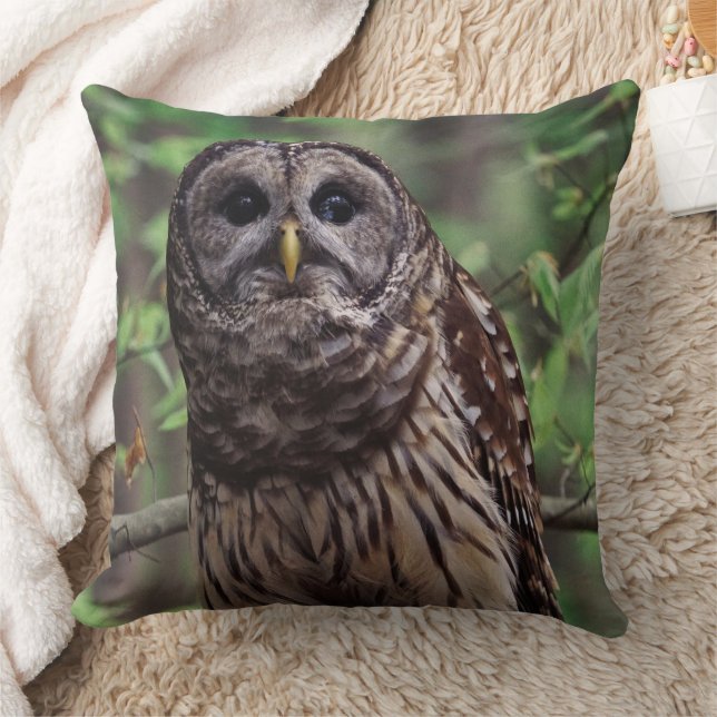 Barred Owl Cushion (Blanket)