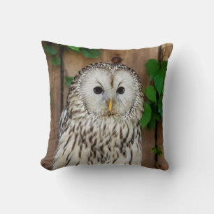Barred Owl Cushion