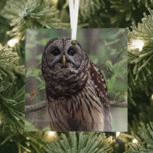 Barred Owl Glass Tree Decoration