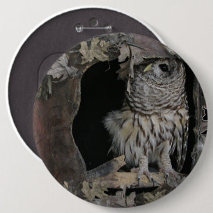 Barred Owl - Here's Looking at You! 6 Cm Round Badge