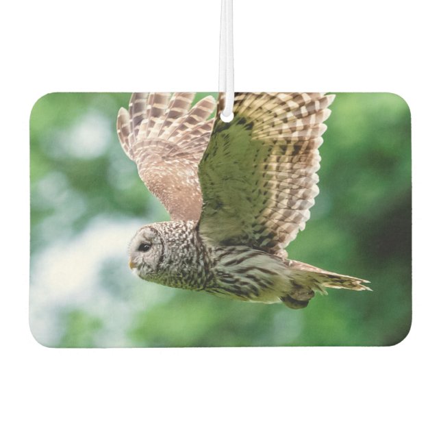 Barred Owl in flight Car Air Freshener (Front)
