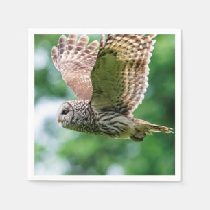 Barred Owl in flight Napkin
