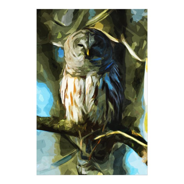 Barred Owl in Tree Abstract Impressionism Photo Print (Front)