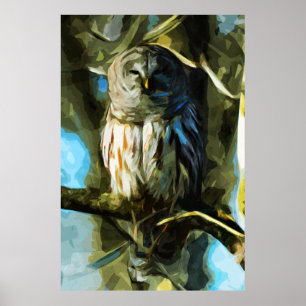 Barred Owl in Tree Abstract Impressionism Poster