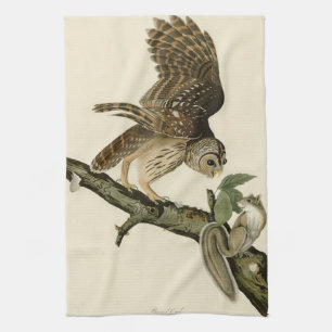 Barred Owl, John James Audubon's Birds of America Tea Towel