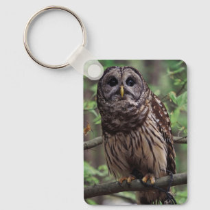 Barred Owl Key Ring