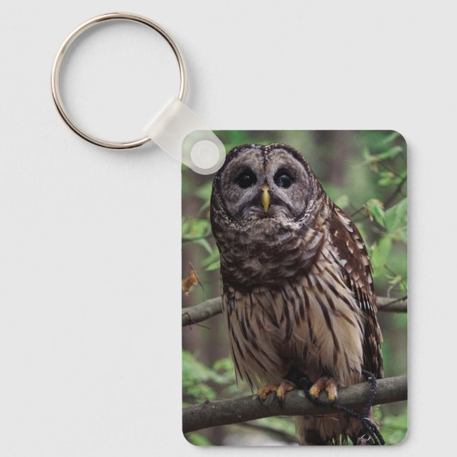 Barred Owl Key Ring (Front)