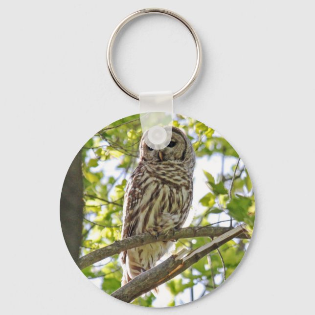 Barred Owl Key Ring (Front)