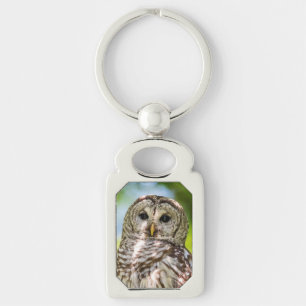 Barred Owl Key Ring