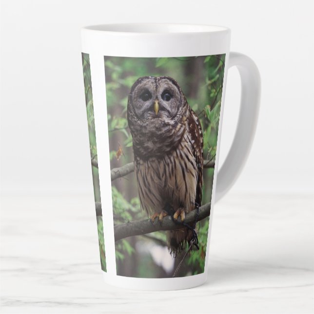 Barred Owl Latte Mug (Right Angle)