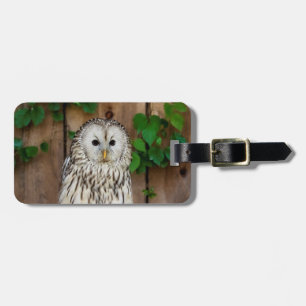 Barred Owl Luggage Tag