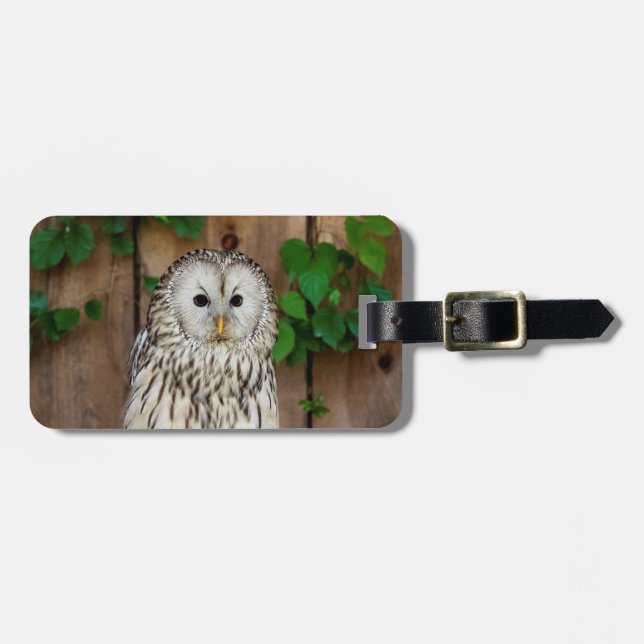 Barred Owl Luggage Tag (Front Horizontal)
