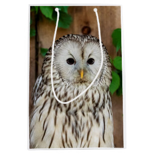 Barred Owl Medium Gift Bag