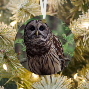 Barred Owl Metal Tree Decoration