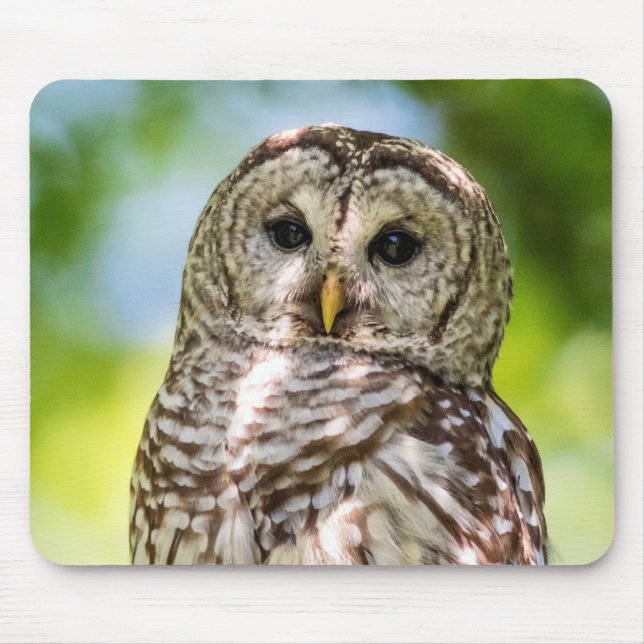 Barred Owl Mouse Pad (Front)